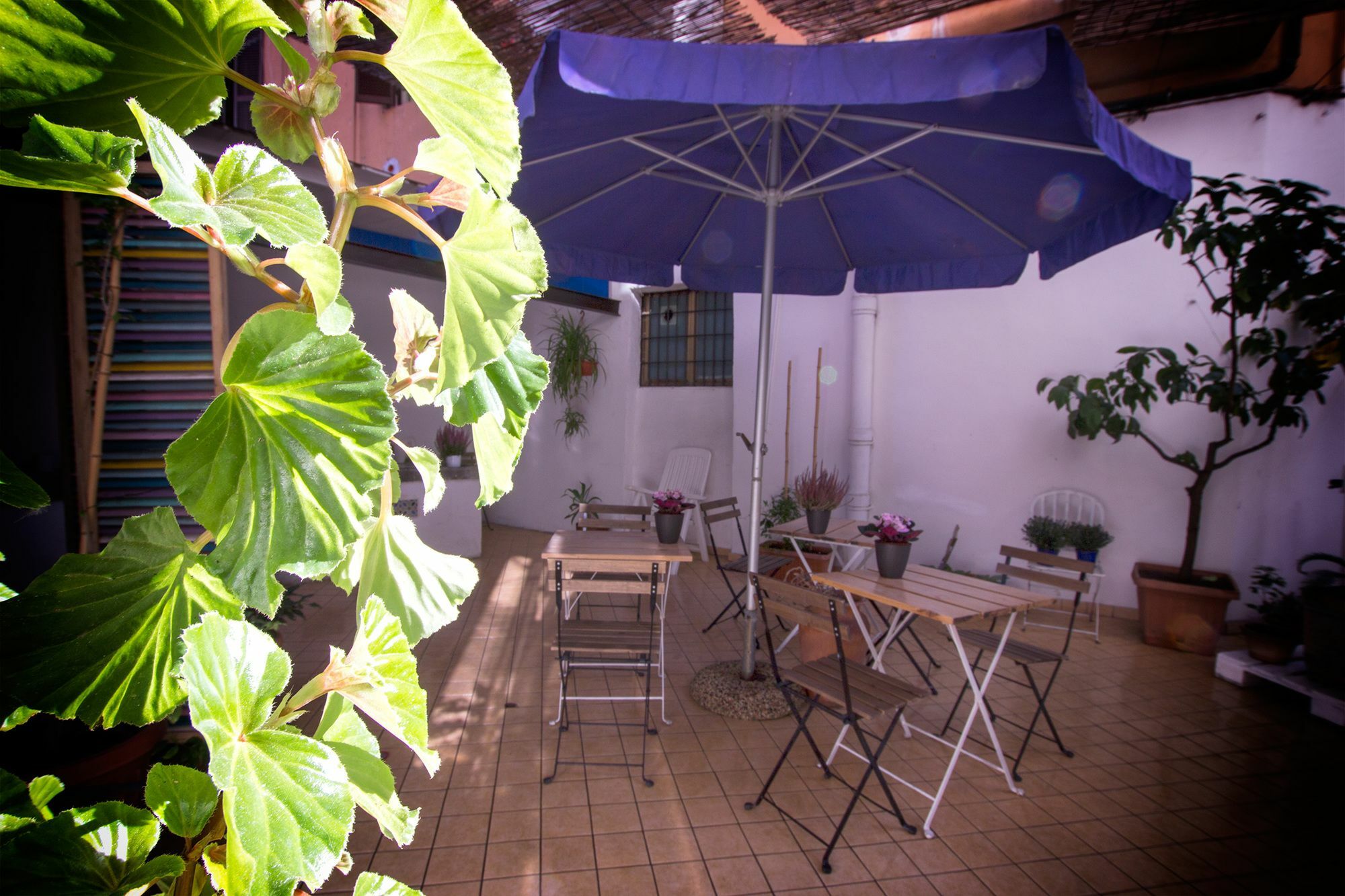 Casa Maplink 호텔 로마 외부 사진